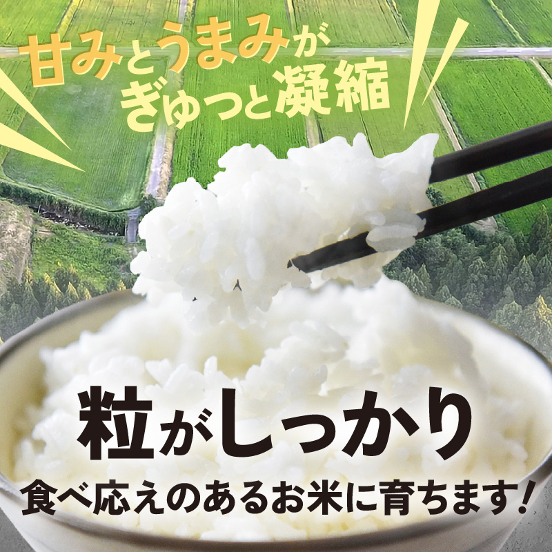 【先行予約】【令和8年産】伊与衛門農園の自然栽培コシヒカリ うまみ精米 5kg×2袋（計10kg） ＜温度と湿度を常時管理し新鮮米を出荷！＞ / 米 白米 自然の力 高品質 鮮度抜群 ブランド米 福井県 あわら市産 スマート農業 ※2026年10月上旬より順次発送予定 [aw071-d003]