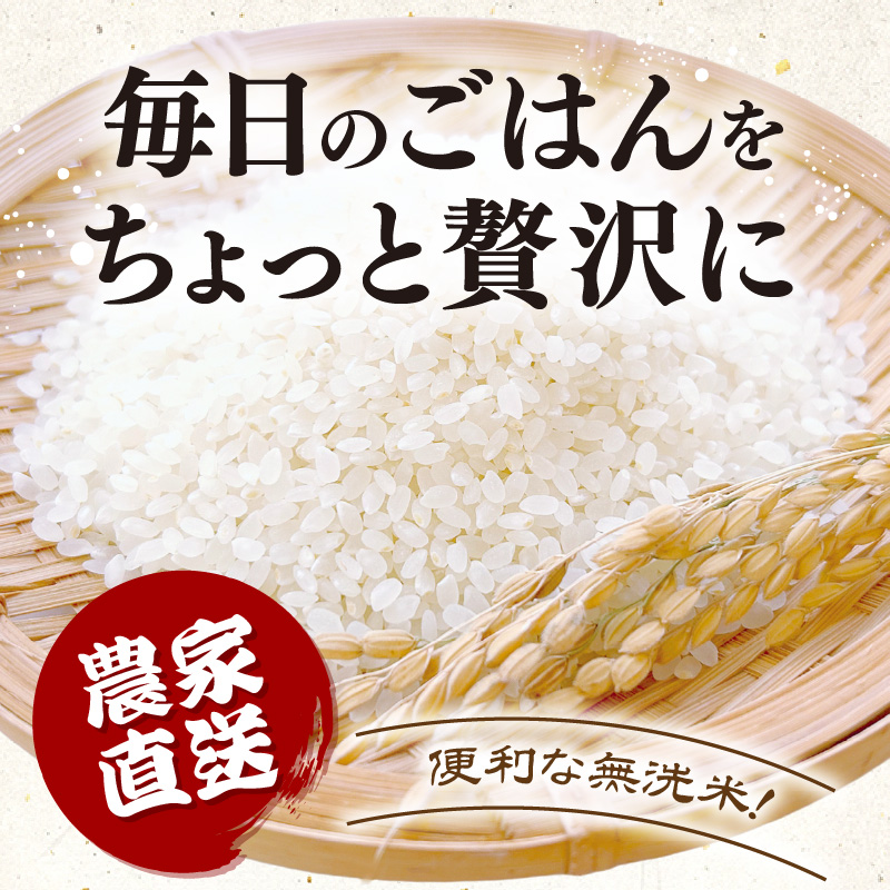 【先行予約】【令和8年産】定期便 ≪6ヶ月連続お届け≫ にじのきらめき 無洗米 5kg×6回 / 鮮度抜群 30キロ 福井県あわら産 無洗米 お米 ※2026年10月上旬より順次発送 [aw071-g002]