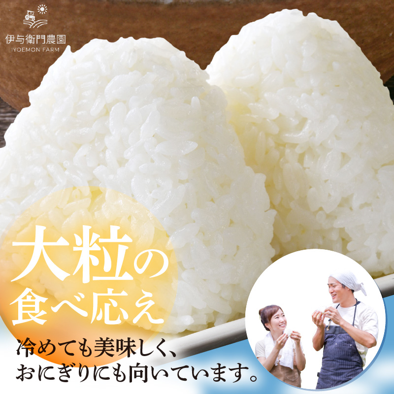 【先行予約】【令和8年産】定期便 ≪6ヶ月連続お届け≫ にじのきらめき 無洗米 5kg×6回 / 鮮度抜群 30キロ 福井県あわら産 無洗米 お米 ※2026年10月上旬より順次発送 [aw071-g002]