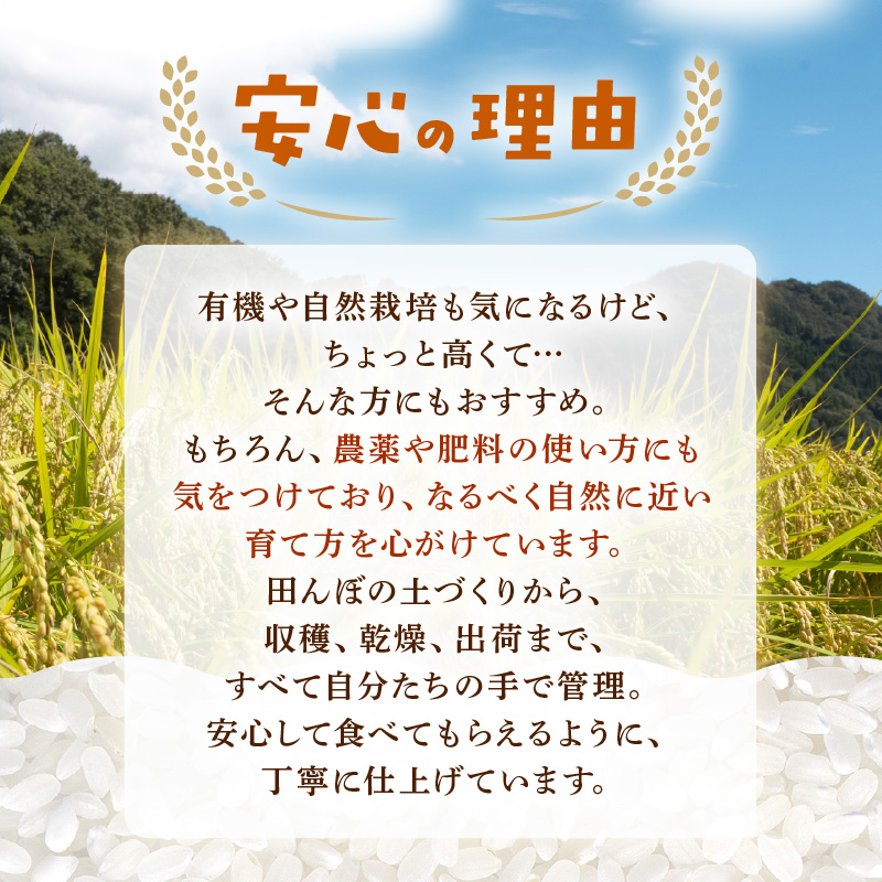【先行予約】【令和8年産】定期便 ≪6ヶ月連続お届け≫ にじのきらめき 無洗米 5kg×6回 / 鮮度抜群 30キロ 福井県あわら産 無洗米 お米 ※2026年10月上旬より順次発送 [aw071-g002]