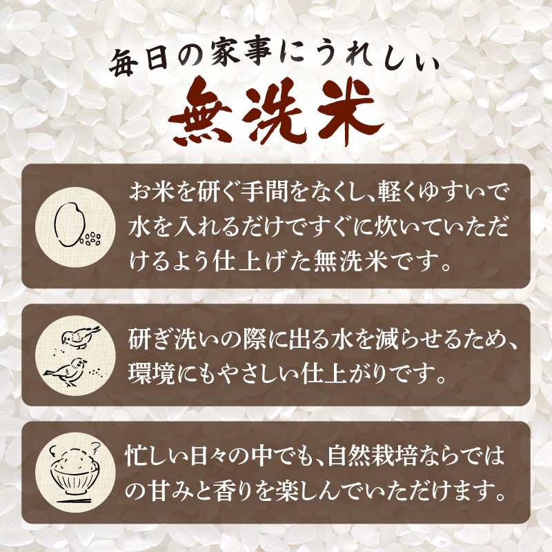 【先行予約】【令和8年産】定期便 ≪6ヶ月連続お届け≫ にじのきらめき 無洗米 5kg×6回 / 鮮度抜群 30キロ 福井県あわら産 無洗米 お米 ※2026年10月上旬より順次発送 [aw071-g002]