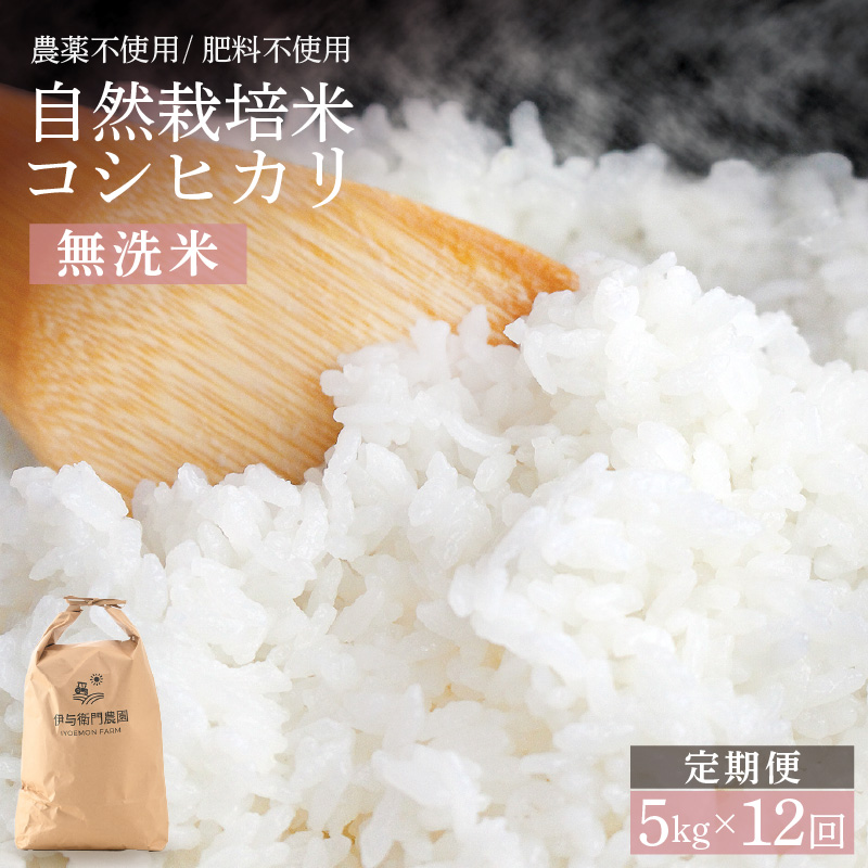 【先行予約】【令和8年産】定期便 ≪12ヶ月連続お届け≫ 自然栽培米コシヒカリ 無洗米5kg×12回（計60kg） ＜温度と湿度を常時管理し新鮮米を出荷！＞/ 米 白米 自然の力 高品質 鮮度抜群 ブランド米 福井県 あわら市産 スマート農業 ※2026年10月下旬以降順次発送 [aw071-o007]