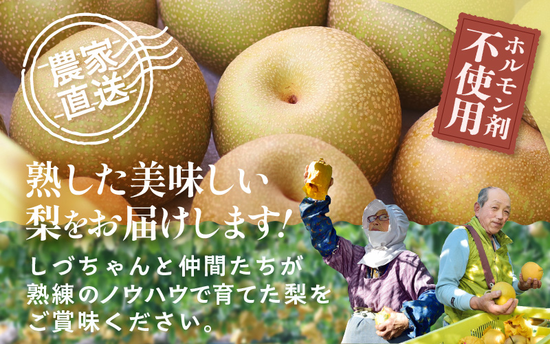 【先行予約】しづちゃんが作る豊水梨 5～8玉入（2.5～3kg）農業歴70年以上！ ※2026年9月上旬より順次お届け [aw075-a007]