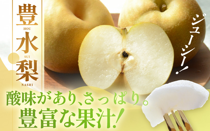 【先行予約】しづちゃんが作る豊水梨 5～8玉入（2.5～3kg）農業歴70年以上！ ※2026年9月上旬より順次お届け [aw075-a007]