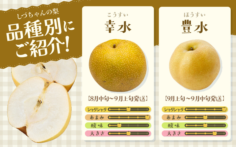 【先行予約】しづちゃんが作る豊水梨 5～8玉入（2.5～3kg）農業歴70年以上！ ※2026年9月上旬より順次お届け [aw075-a007]