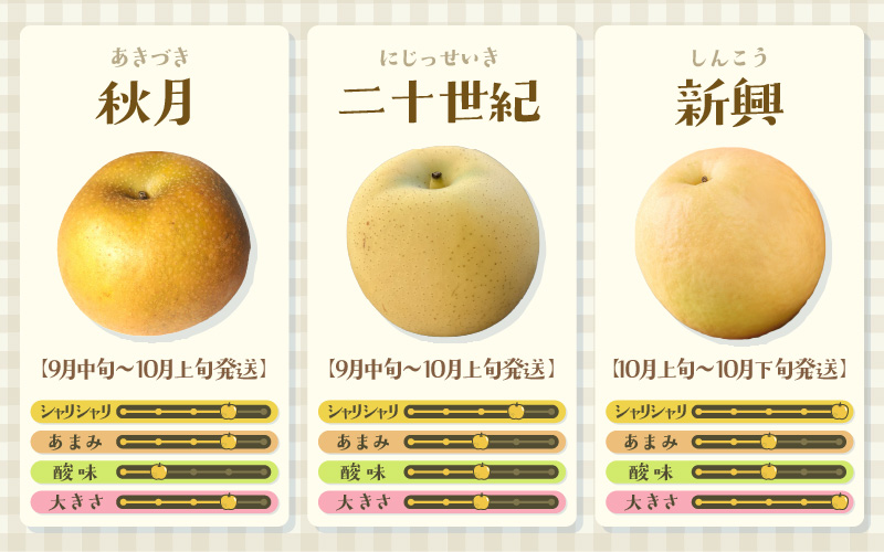 【先行予約】しづちゃんが作る豊水梨 5～8玉入（2.5～3kg）農業歴70年以上！ ※2026年9月上旬より順次お届け [aw075-a007]