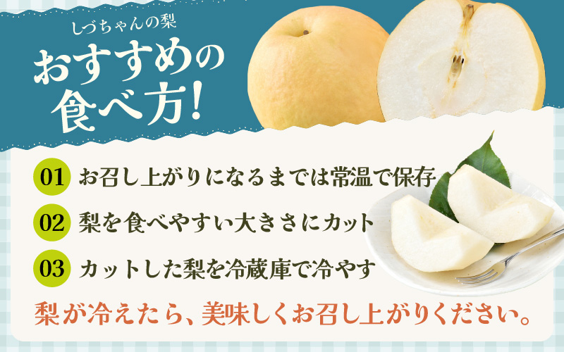 【先行予約】しづちゃんが作る豊水梨 5～8玉入（2.5～3kg）農業歴70年以上！ ※2026年9月上旬より順次お届け [aw075-a007]