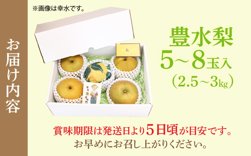 【先行予約】しづちゃんが作る豊水梨 5～8玉入（2.5～3kg）農業歴70年以上！ ※2026年9月上旬より順次お届け [aw075-a007]