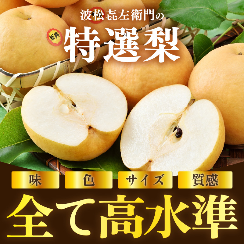【先行予約】しづちゃんが作る特選新興梨　5玉入（3.5kg以上）農業歴70年以上！ なし 果物 旬 フルーツ 甘い ジューシー 果汁 くだもの シャキシャキ 人気 完熟 もぎたて みずみずしい 越前梨 送料無料 福井 あわら市 ※2026年10月上旬以降順次発送予定 [aw075-a010] 