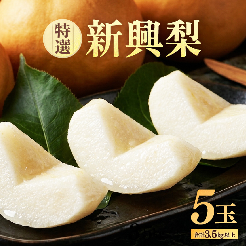【先行予約】しづちゃんが作る特選新興梨　5玉入（3.5kg以上）農業歴70年以上！ なし 果物 旬 フルーツ 甘い ジューシー 果汁 くだもの シャキシャキ 人気 完熟 もぎたて みずみずしい 越前梨 送料無料 福井 あわら市 ※2026年10月上旬以降順次発送予定 [aw075-a010]