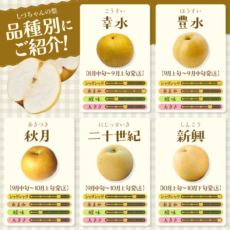 【先行予約】しづちゃんが作る新興梨　約2kg（3～6玉）農業歴70年以上！ なし 果物 旬 フルーツ 甘い ジューシー 果汁 くだもの シャキシャキ 人気 完熟 もぎたて みずみずしい 越前梨 送料無料 福井 あわら市 ※2026年10月上旬以降順次発送予定 [aw075-a011] 