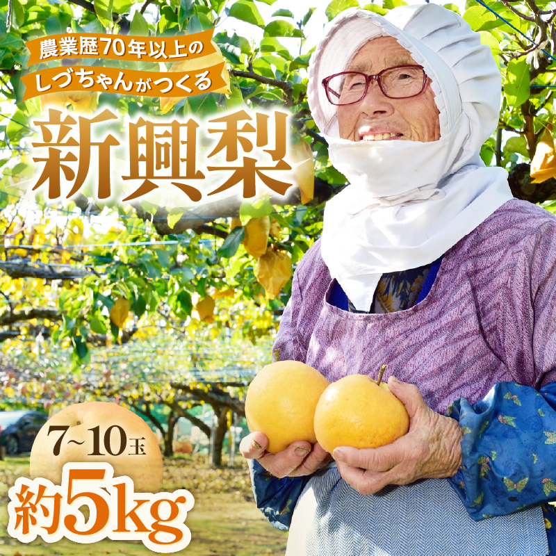 【先行予約】しづちゃんが作る新興梨　約5kg（7～10玉）農業歴70年以上！ なし 果物 旬 フルーツ 甘い ジューシー 果汁 くだもの シャキシャキ 人気 完熟 もぎたて みずみずしい 越前梨 送料無料 福井 あわら市 ※2026年10月上旬以降順次発送予定 [aw075-a012] 