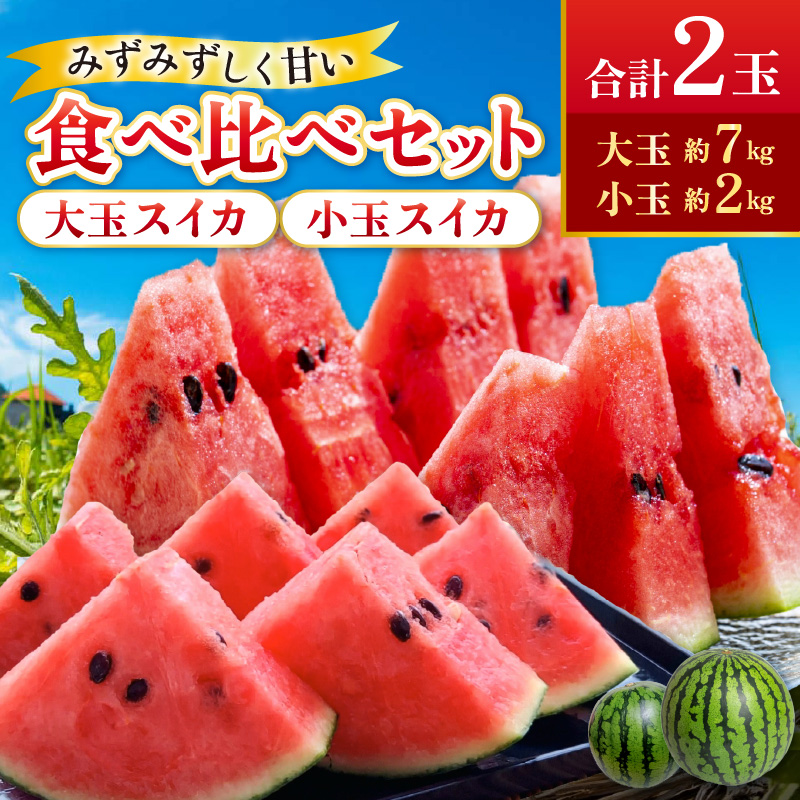 【先行予約】大玉スイカ・小玉スイカ食べ比べセット 計2玉  /  果物 フルーツ 西瓜 すいか 送料無料 福井 あわら市 ※2027年7月上旬～下旬にかけて順次発送予定 [aw075-a019]