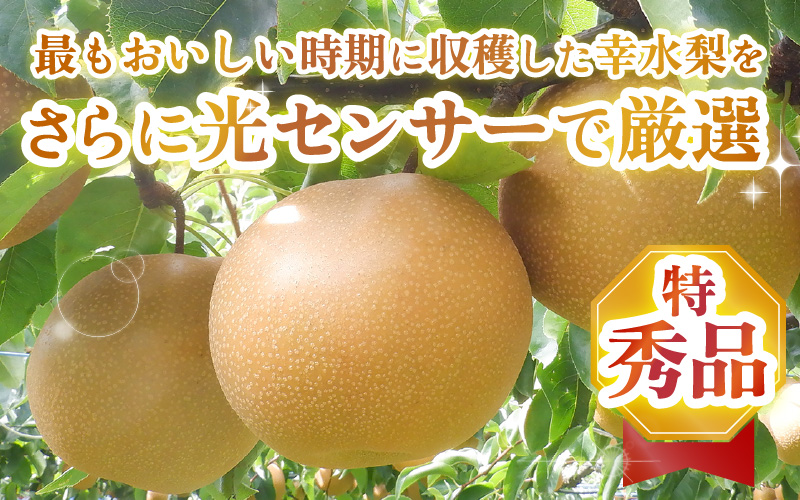 【先行予約】上野梨園の特選大玉 幸水梨『特秀品』選び抜かれた逸品 3kg 光糖度センサー選果品 梨園直送！ / 期間限定 果物 フルーツ 農家直送 シャキシャキ もぎたて 旬 お取り寄せ ※2026年8月下旬より順次発送 [aw077-a028]