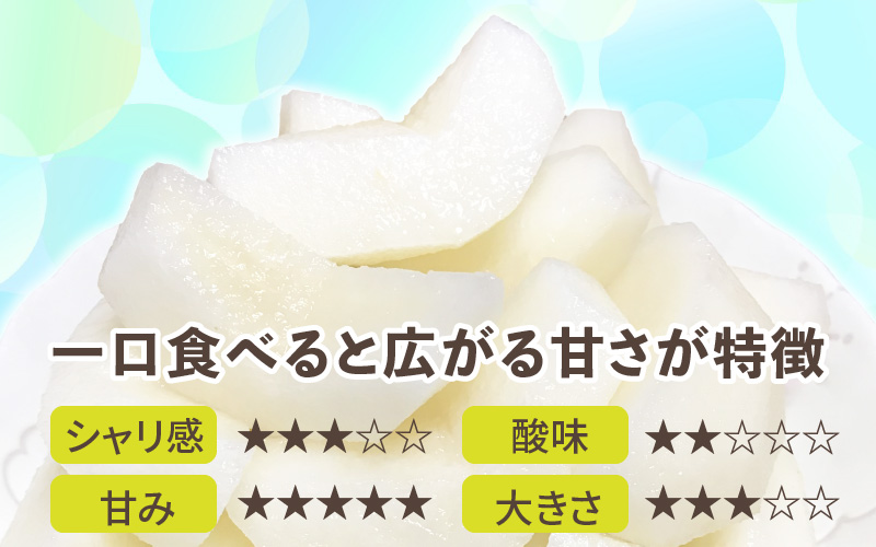 【先行予約】上野梨園の特選大玉 幸水梨『特秀品』選び抜かれた逸品 3kg 光糖度センサー選果品 梨園直送！ / 期間限定 果物 フルーツ 農家直送 シャキシャキ もぎたて 旬 お取り寄せ ※2026年8月下旬より順次発送 [aw077-a028]