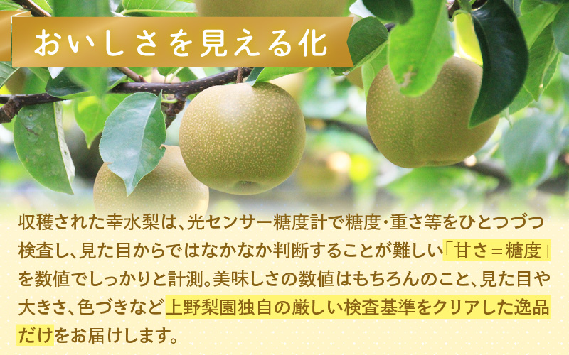 【先行予約】上野梨園の特選大玉 幸水梨『特秀品』選び抜かれた逸品 3kg 光糖度センサー選果品 梨園直送！ / 期間限定 果物 フルーツ 農家直送 シャキシャキ もぎたて 旬 お取り寄せ ※2026年8月下旬より順次発送 [aw077-a028]