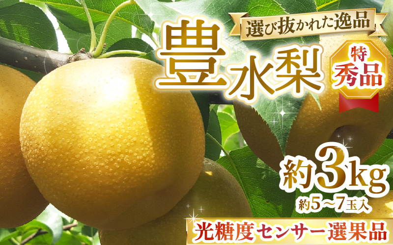 【先行予約】上野梨園の特選大玉 豊水梨『特秀品』選び抜かれた逸品 3kg 光糖度センサー選果品 梨園直送！ / 期間限定 果物 フルーツ 農家直送 シャキシャキ もぎたて 旬 お取り寄せ ※2026年9月上旬より順次発送 [aw077-a029]