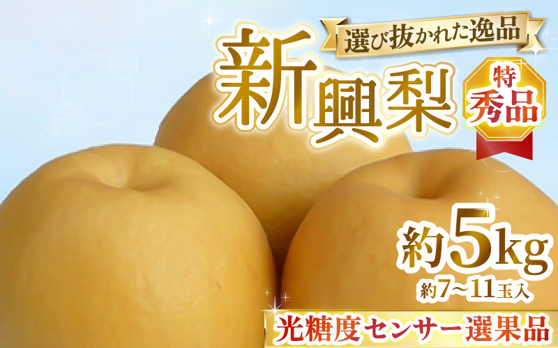 【先行予約】上野梨園の特選大玉 新興梨『特秀品』選び抜かれた逸品 5kg 光糖度センサー選果品 梨園直送！ / 期間限定 果物 フルーツ 農家直送 シャキシャキ もぎたて 旬 お取り寄せ ※2026年10月中旬より順次発送 [aw077-b003]