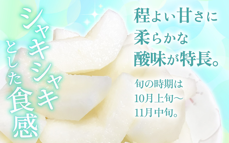 【先行予約】定期便 ≪2回お届け≫ 旬のフルーツ定期便 全2回 シャインマスカットと新興梨『特秀品』 梨園直送！ / 期間限定 果物 フルーツ 農家直送 シャキシャキ もぎたて 旬 お取り寄せ ※2026年9月中旬より順次発送 [aw077-b004]