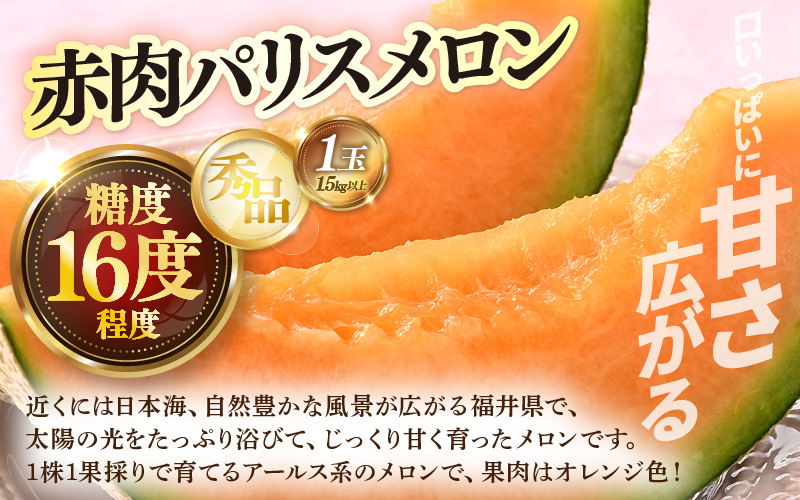 【先行予約】定期便 ≪3回お届け≫ 旬のフルーツ定期便 全3回 赤肉パリスメロン・シャインマスカット・新興梨【2026年7月以降順次発送予定】 [aw077-b005]