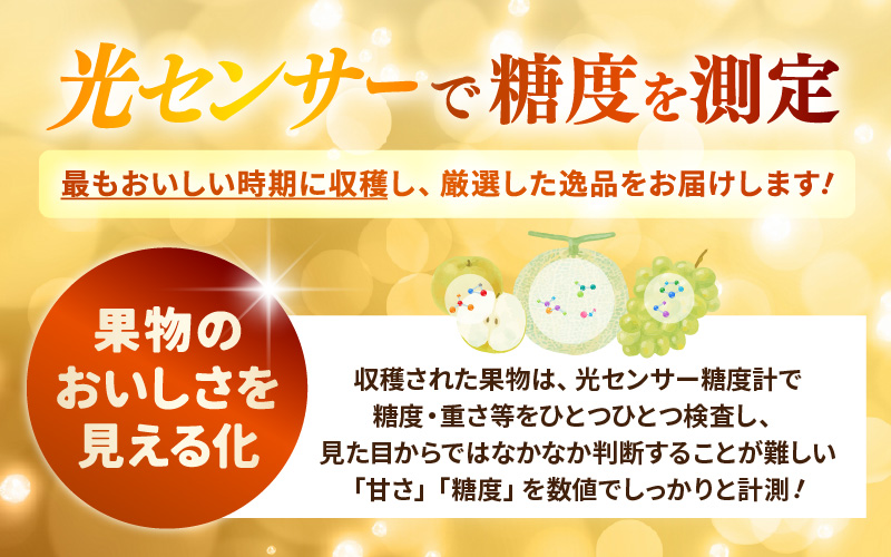 【先行予約】定期便 ≪3回お届け≫ 旬のフルーツ定期便 全3回 赤肉パリスメロン・シャインマスカット・新興梨【2026年7月以降順次発送予定】 [aw077-b005]