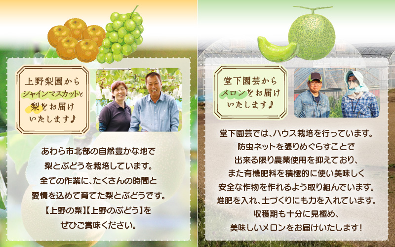 【先行予約】定期便 ≪3回お届け≫ 旬のフルーツ定期便 全3回 赤肉パリスメロン・シャインマスカット・新興梨【2026年7月以降順次発送予定】 [aw077-b005]