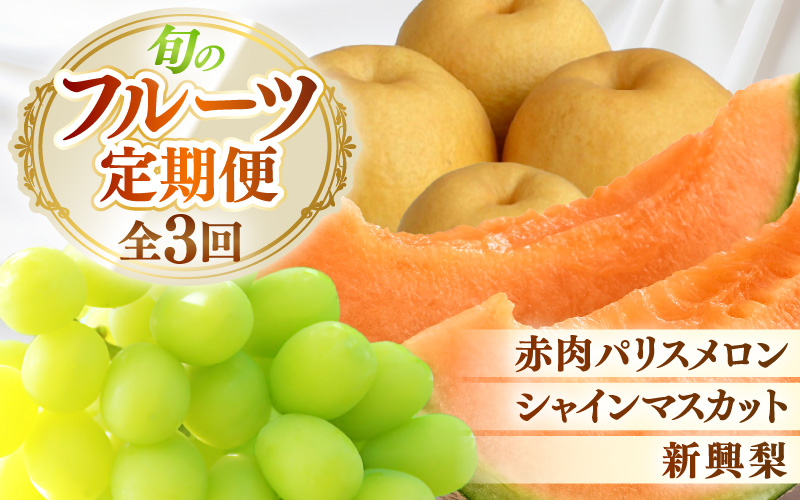 【先行予約】定期便 ≪3回お届け≫ 旬のフルーツ定期便 全3回 赤肉パリスメロン・シャインマスカット・新興梨【2026年7月以降順次発送予定】 [aw077-b005]