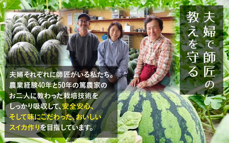 【先行予約】藤重農園の大玉スイカ『祭ばやし』 1玉（7kg～） ≪満足度高い大きなスイカ≫※2026年6月中旬以降順次発送 [aw083-a003]