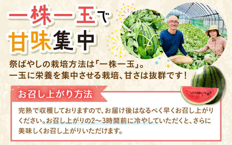【先行予約】藤重農園の大玉スイカ『祭ばやし』 1玉（7kg～） ≪満足度高い大きなスイカ≫※2026年6月中旬以降順次発送 [aw083-a003]