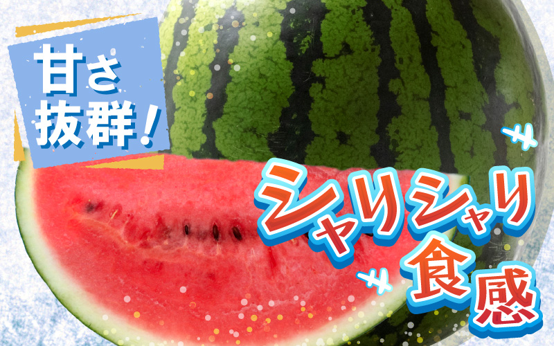 【先行予約】藤重農園の大玉スイカ『祭ばやし』 1玉（7kg～） ≪満足度高い大きなスイカ≫※2026年6月中旬以降順次発送 [aw083-a003]