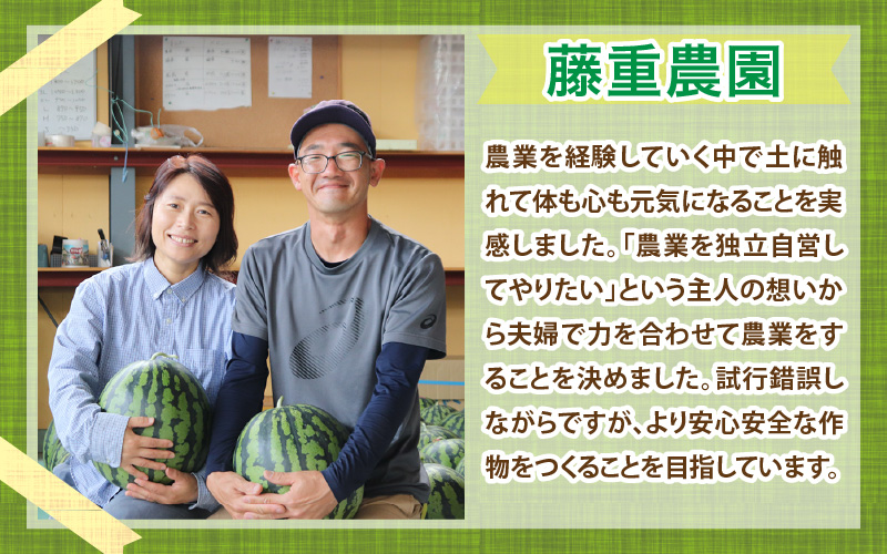 【先行予約】藤重農園の大玉スイカ『祭ばやし』 1玉（7kg～） ≪満足度高い大きなスイカ≫※2026年6月中旬以降順次発送 [aw083-a003]