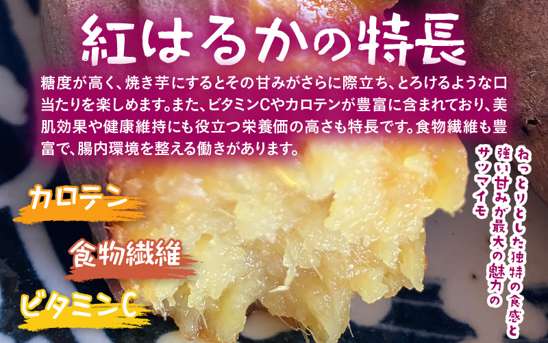 【先行予約】福井県あわら市産 藤重農園自慢の濃厚な甘みのサツマイモ 紅はるか 5kg / さつまいも 紅はるか べにはるか さつま芋 国産 土付き 芋 産地直送 熟成 サツマイモ ※2026年11月中旬以降順次発送 [aw083-a002]