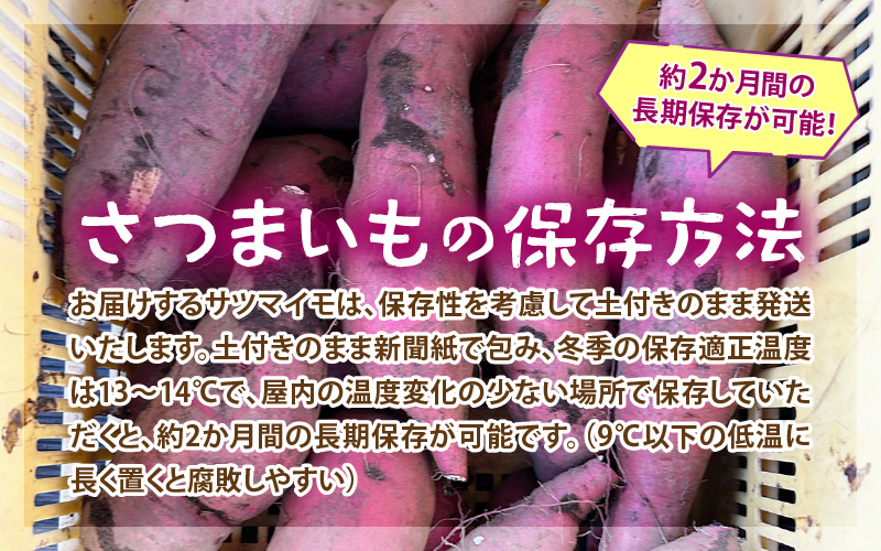【先行予約】福井県あわら市産 藤重農園自慢の濃厚な甘みのサツマイモ 紅はるか 5kg / さつまいも 紅はるか べにはるか さつま芋 国産 土付き 芋 産地直送 熟成 サツマイモ ※2026年11月中旬以降順次発送 [aw083-a002]