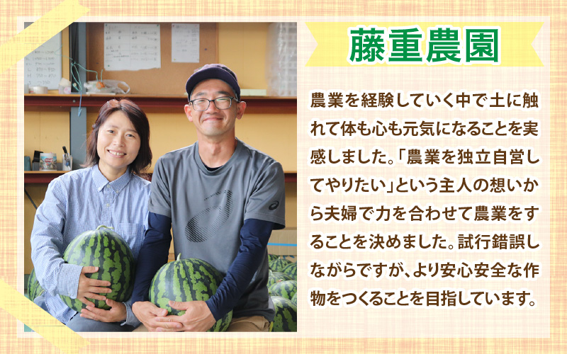 【先行予約】福井県あわら市産 藤重農園自慢の濃厚な甘みのサツマイモ 紅はるか 5kg / さつまいも 紅はるか べにはるか さつま芋 国産 土付き 芋 産地直送 熟成 サツマイモ ※2026年11月中旬以降順次発送 [aw083-a002]