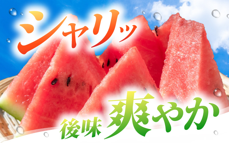 【先行予約】藤重農園の露地スイカ 羅皇ザ・スイート １玉（約7kg）※2027年7月中旬以降順次発送 [aw083-a004]