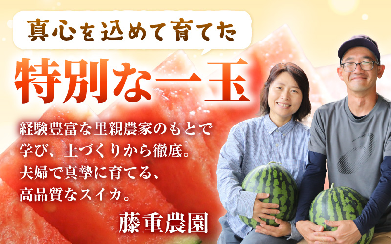 【先行予約】藤重農園の露地スイカ 羅皇ザ・スイート １玉（約7kg）※2027年7月中旬以降順次発送 [aw083-a004]