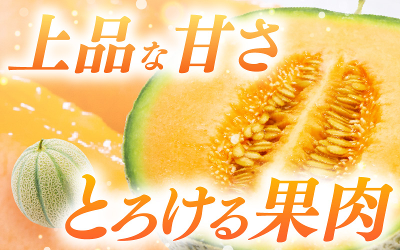 【先行予約】藤重農園自慢のマルセイユメロン 2～3玉（合計約3kg）※2027年6月中旬以降順次発送 [aw083-a005]