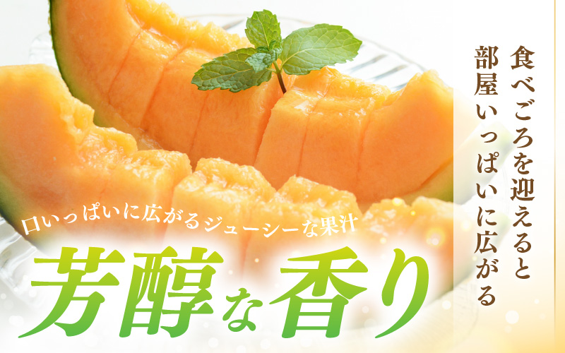 【先行予約】藤重農園自慢のマルセイユメロン 2～3玉（合計約3kg）※2027年6月中旬以降順次発送 [aw083-a005]