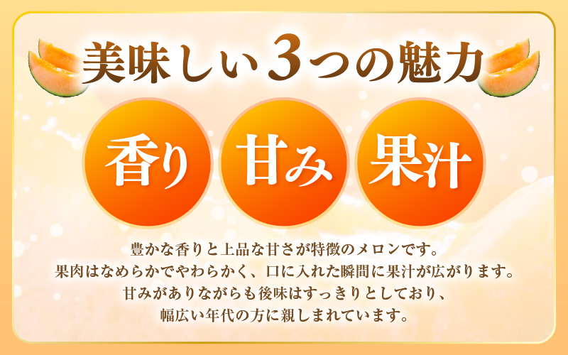 【先行予約】藤重農園自慢のマルセイユメロン 2～3玉（合計約3kg）※2027年6月中旬以降順次発送 [aw083-a005]