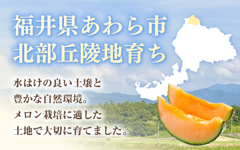 【先行予約】藤重農園自慢のマルセイユメロン 2～3玉（合計約3kg）※2027年6月中旬以降順次発送 [aw083-a005]
