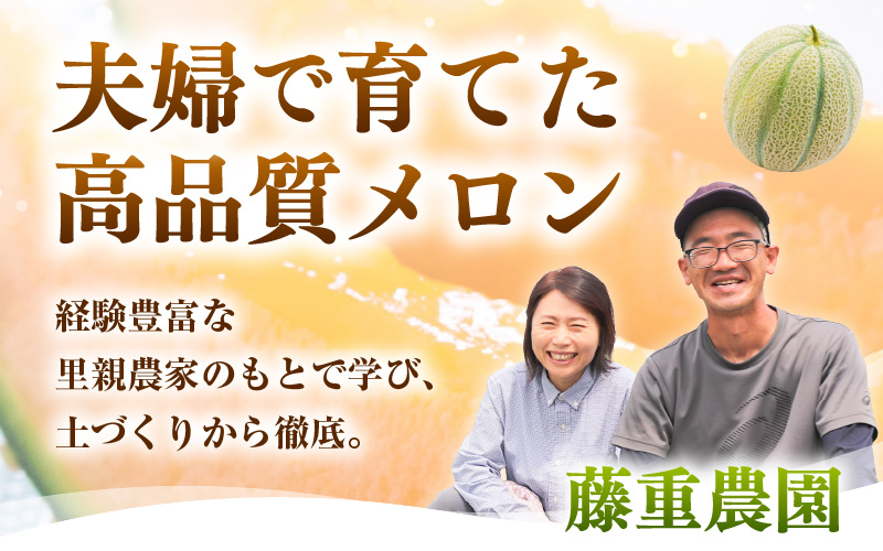 【先行予約】藤重農園自慢のマルセイユメロン 2～3玉（合計約3kg）※2027年6月中旬以降順次発送 [aw083-a005]