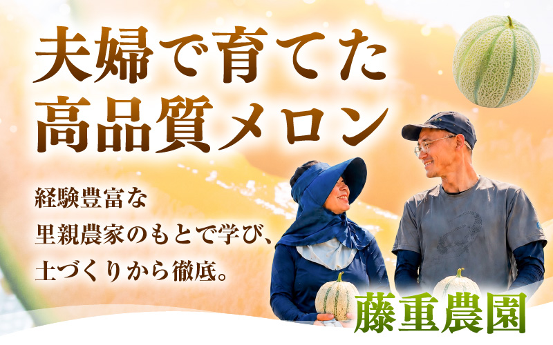 【先行予約】藤重農園自慢のマルセイユメロン 2～3玉（合計約3kg）※2027年6月中旬以降順次発送 [aw083-a005]