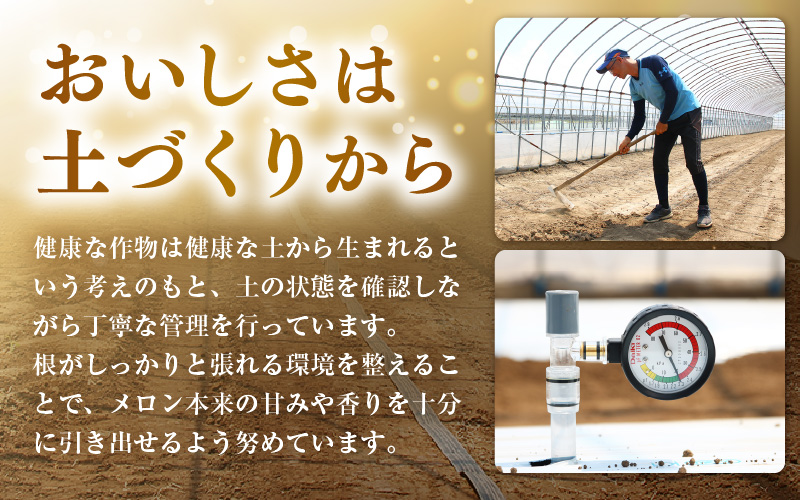 【先行予約】藤重農園自慢のマルセイユメロン 2～3玉（合計約3kg）※2027年6月中旬以降順次発送 [aw083-a005]