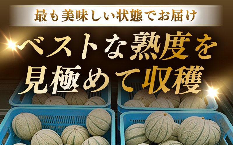 【先行予約】藤重農園自慢のマルセイユメロン 2～3玉（合計約3kg）※2027年6月中旬以降順次発送 [aw083-a005]