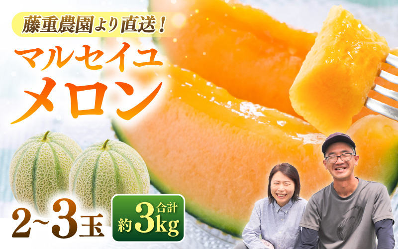 【先行予約】藤重農園自慢のマルセイユメロン 2～3玉（合計約3kg）※2027年6月中旬以降順次発送 [aw083-a005]