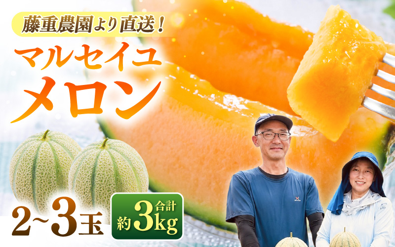 【先行予約】藤重農園自慢のマルセイユメロン 2～3玉（合計約3kg）※2027年6月中旬以降順次発送 [aw083-a005]