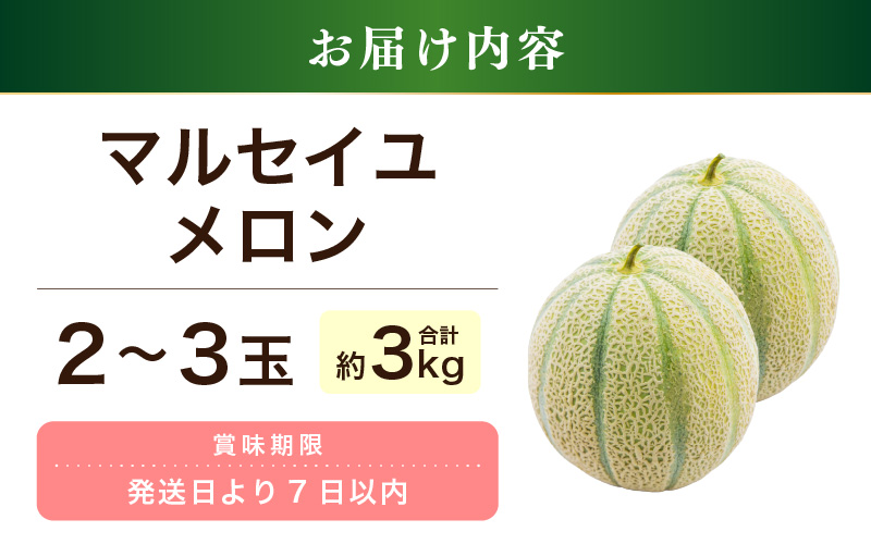 【先行予約】藤重農園自慢のマルセイユメロン 2～3玉（合計約3kg）※2027年6月中旬以降順次発送 [aw083-a005]