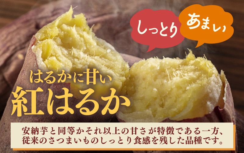 【先行予約】あわら市波松産 紅はるか 3kg / 厳選 不揃い さつまいも 土付き 熟成 焼き芋 福井県 薩摩芋 密芋 スイートポテト しっとり ほっくり 自然のスイーツ 極甘 農研機構許諾済 メディアで人気 腸活 ※2026年10月上旬以降順次発送予定 [aw084-a001]
