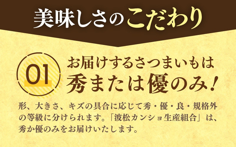 【先行予約】あわら市波松産 紅はるか 3kg / 厳選 不揃い さつまいも 土付き 熟成 焼き芋 福井県 薩摩芋 密芋 スイートポテト しっとり ほっくり 自然のスイーツ 極甘 農研機構許諾済 メディアで人気 腸活 ※2026年10月上旬以降順次発送予定 [aw084-a001]