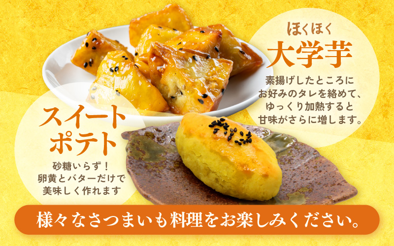 【先行予約】あわら市波松産 紅はるか 3kg / 厳選 不揃い さつまいも 土付き 熟成 焼き芋 福井県 薩摩芋 密芋 スイートポテト しっとり ほっくり 自然のスイーツ 極甘 農研機構許諾済 メディアで人気 腸活 ※2026年10月上旬以降順次発送予定 [aw084-a001]
